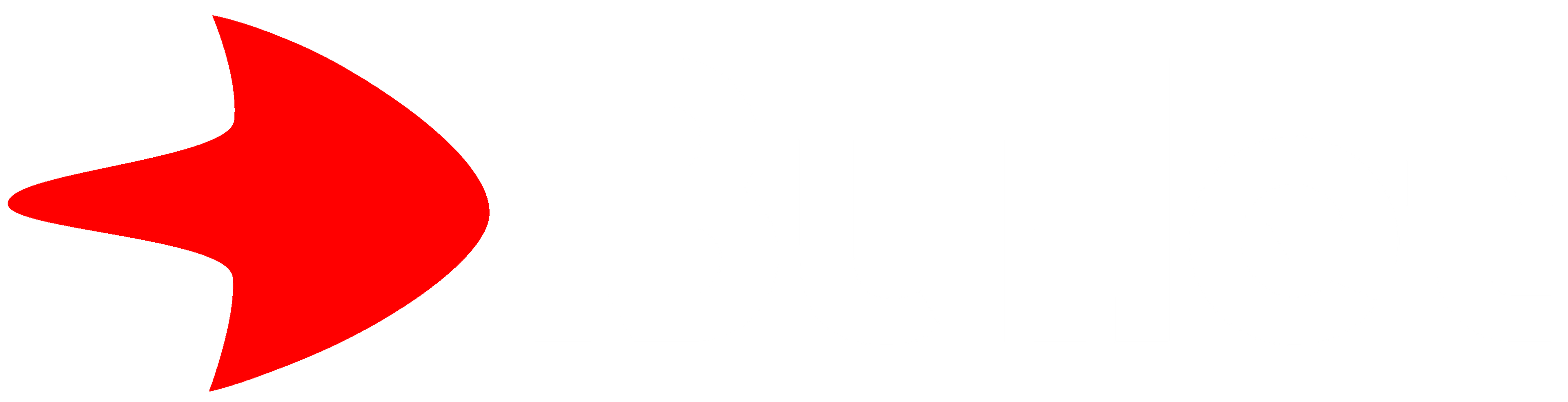 Bullet